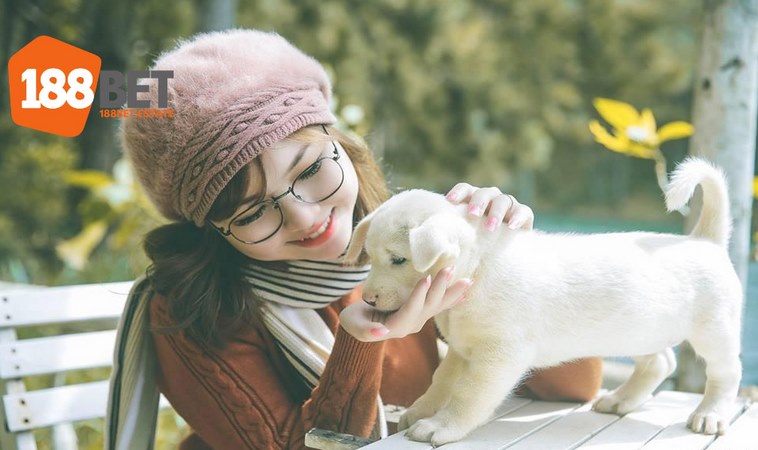 Yuri - Nguyễn Thoại Cẩm Tú Mỹ Nữ Đình Đám Giới Streamer 2 Cuộc sống và công việc của Yuri được nhiều người mơ ước